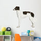 Russian Borzoi Puppy 5 Wall Decal