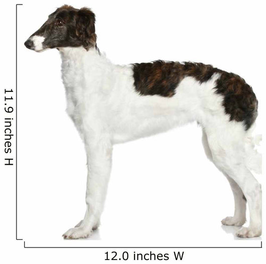 Russian Borzoi Puppy 5 Wall Decal