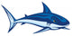 Shark Lineart