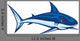 Shark Lineart
