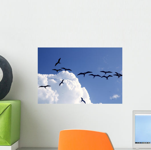 Frigate Bird Silhouette Backlight Breeding Season Wall Mural