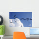 Frigate Bird Silhouette Backlight Breeding Season Wall Mural