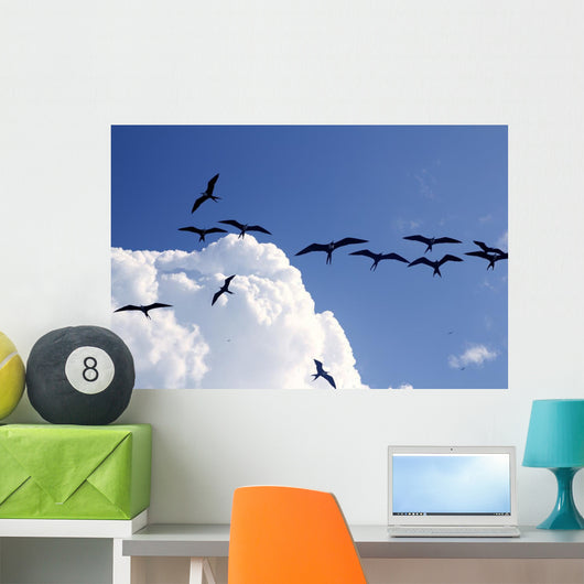 Frigate Bird Silhouette Backlight Breeding Season Wall Mural