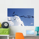 Frigate Bird Silhouette Backlight Breeding Season Wall Mural