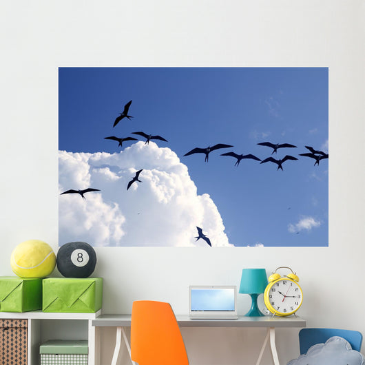 Frigate Bird Silhouette Backlight Breeding Season Wall Mural