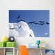 Frigate Bird Silhouette Backlight Breeding Season Wall Mural