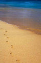 Steps Wall Decal