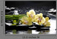 spa with orchid and essential oil and palm leaf Wall Mural