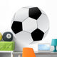Soccer Ball Illustration Wall Decal