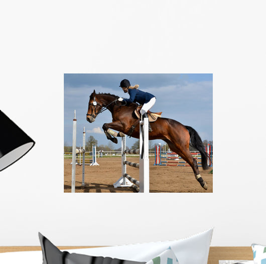 Horse Show Jump