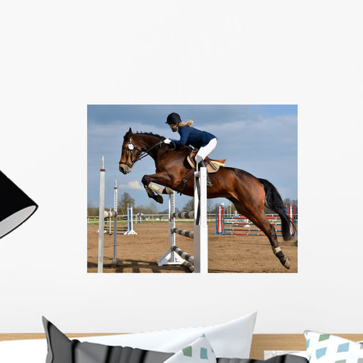 Horse Show Jump