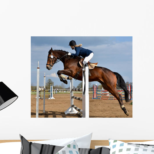 Horse Show Jump