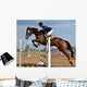 Horse Show Jump