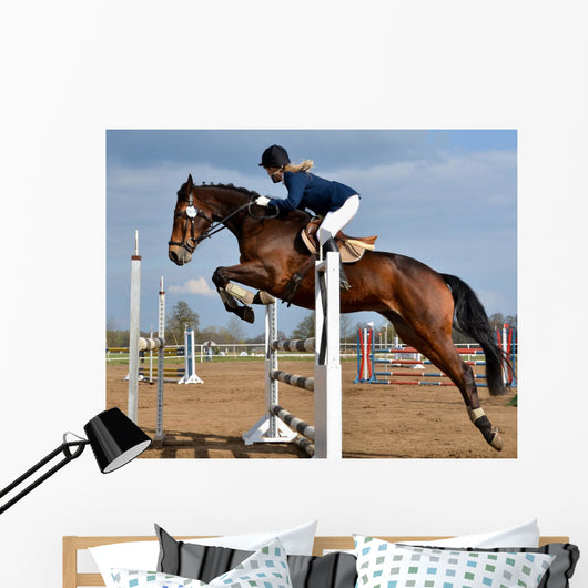 Horse Show Jump
