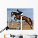 Horse Show Jump