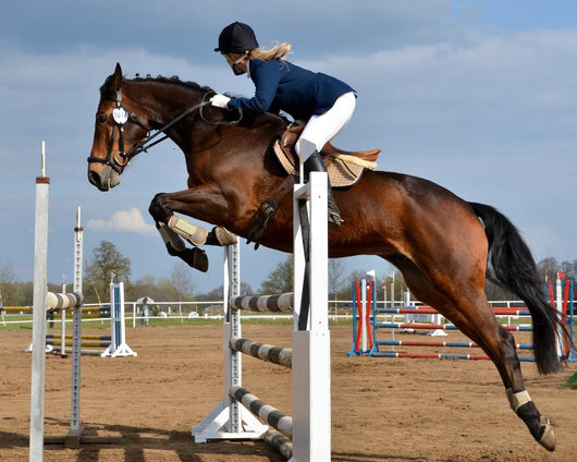 Horse Show Jump