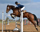 Horse Show Jump