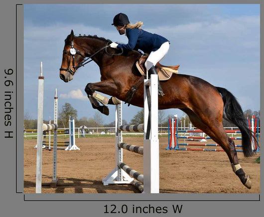 Horse Show Jump