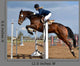 Horse Show Jump