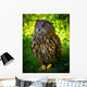 Owl Wall Mural