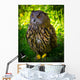 Owl Wall Mural