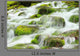 Mountain River