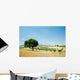 Sobreiro3 Wall Decal