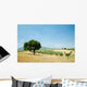 Sobreiro3 Wall Decal