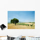 Sobreiro3 Wall Decal