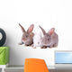 Rabbit Wall Mural