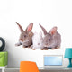 Rabbit Wall Mural