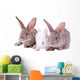 Rabbit Wall Mural