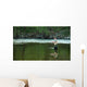 Fly Fishing Wall Mural