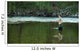 Fly Fishing Wall Mural
