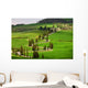 Landscapes