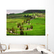 Landscapes