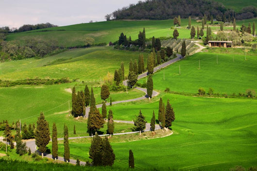 Landscapes