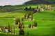 Landscapes