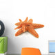 2 Starfish Wall Decal