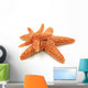 2 Starfish Wall Decal