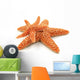 2 Starfish Wall Decal