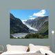 Franz Josef Glacier Wall Decal