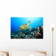 Hawksbill Turtle and Coral Wall Mural