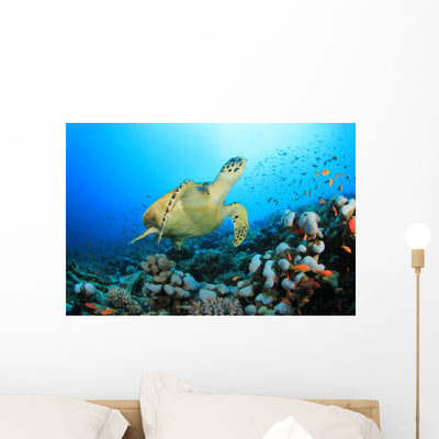 Hawksbill Turtle and Coral Wall Mural shown on a wall