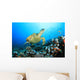 Hawksbill Turtle and Coral Wall Mural