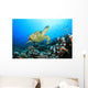 Hawksbill Turtle and Coral Wall Mural