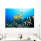 Hawksbill Turtle and Coral Wall Mural