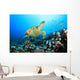 Hawksbill Turtle and Coral Wall Mural