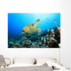 Hawksbill Turtle and Coral Wall Mural
