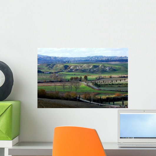 Paesaggio Nelle Crete Senesi Wall Decal